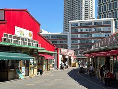 -新疆红山干果市场