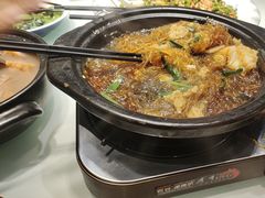 -新概念来凤鱼(璧山店)