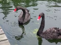 景点-武当山风景区