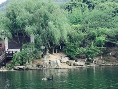 -白马涧龙池景区