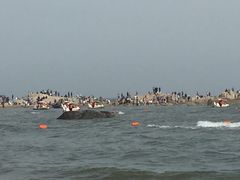 -老虎石海上公园