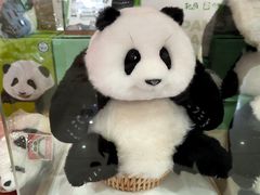 -熊猫邮局(少城店)