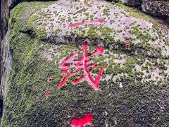 -汤旺河林海奇石景区