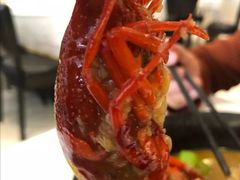 -杨氏青龙虾·羊蝎子(托乐嘉店)