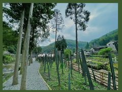 -MOJ coffee(瓯海泽雅水碓坑店)