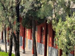 -洛阳白马寺