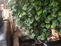 -德全心悦酒店(北京金台路地铁站店)