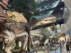 -湖南省地质博物馆