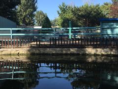 -酷鱼垂钓CLUB(朝阳区博大路店 )