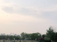 -太阳宫公园