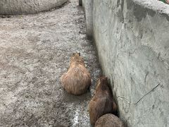 -成都欢乐谷