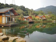 -杭州开元森泊度假乐园