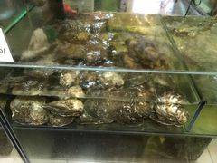 -兴旺海鲜砂煲王