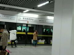 -东方体育中心(地铁站)