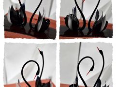 -BLACKSWAN黑天鹅(环球店)