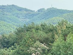 -天目湖涵田度假村
