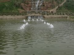 -都江堰玫瑰花溪谷