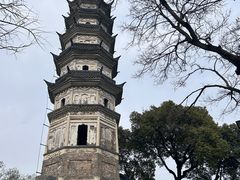 -苏州上方山国家森林公园