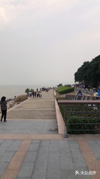 大沙河公园图片