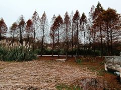 -贵阳市花溪国家城市湿地公园