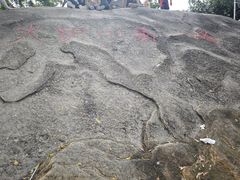 -火炉山森林公园