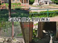 -哈尔滨北方森林动物园