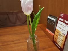 -良木缘咖啡西餐(川大店)