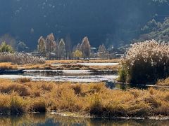 -泸沽湖国家级风景名胜区走婚桥