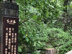 -陕西省红河谷森林公园