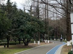 -苏州河梦清园环保主题公园