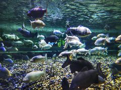 -成都浩海立方海洋公园