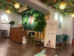 -小熊维尼高端儿童摄影(罗湖区总店)