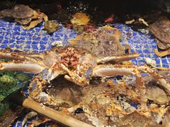 -高佳庄·海鲜酒楼(定海店)
