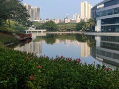 -深圳国际园林花卉博览园