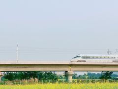 -光明小镇欢乐田园