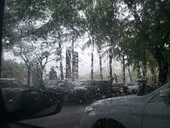 -呀诺达热带雨林