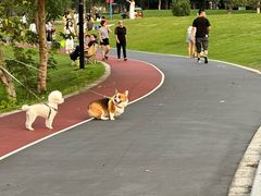 -东钱湖旅游度假区