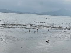 -深圳湾公园(南山区)