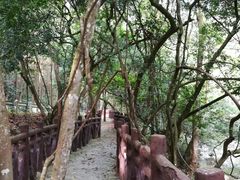 -广州市石门国家森林公园