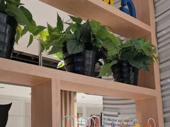 -汤城小厨•粤菜•靓汤(西直门凯德MALL店)