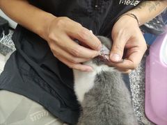 -FAELING PETS美天灵宠物(富力广场店)