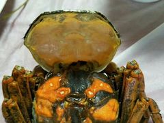 -丫丫蟹庄·苏式园林农家乐·阳澄湖大闸蟹(阳澄湖莲花岛店)