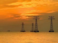 -宝安西湾红树林湿地公园