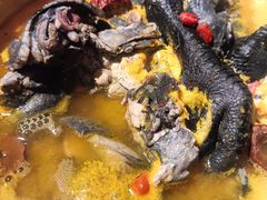 -Darling Queen·Mini·Live·House