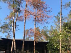 -楠溪江风景名胜区