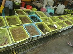 -老字号蛇口德记烧腊饭店·海鲜加工