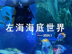 -左海海底世界