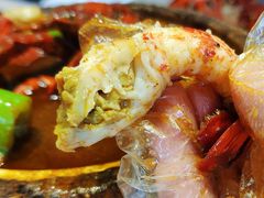 -怪怪龙虾·澳洲蓝龙王·深夜食堂(惊驾路店)