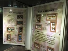 -上海大自然野生昆虫馆(东方明珠·爬宠昆虫探索中心)