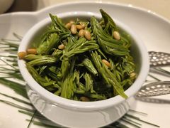 巧拌云南松针芽-悦融琥珀·京鲁菜·海味珍品(西单店)